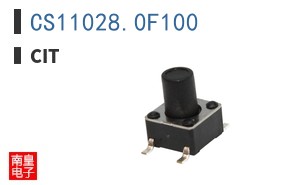 CS11028.0F100