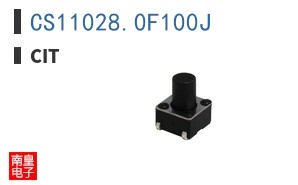 CS11028.0F100J