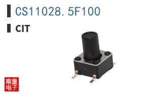 CS11028.5F100