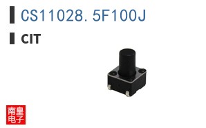 CS11028.5F100J