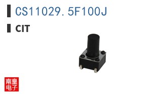 CS11029.5F100J