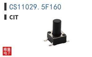 CS11029.5F160