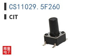 CS11029.5F260