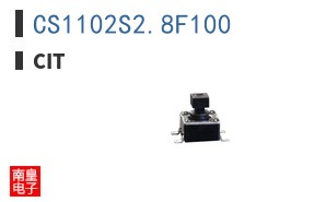 CS1102S2.8F100