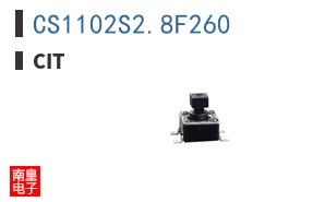 CS1102S2.8F260