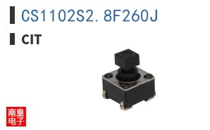 CS1102S2.8F260J