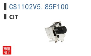 CS1102V5.85F100