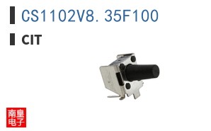 CS1102V8.35F100