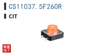 CS11037.5F260R