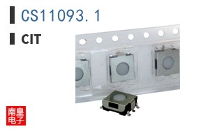 CS11093.1