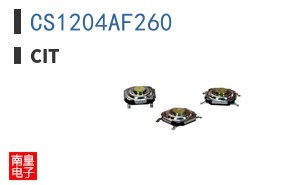 CS1204AF260