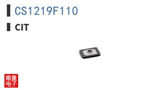 CS1219F110