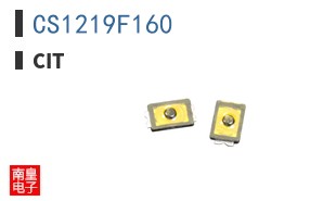 CS1219F160