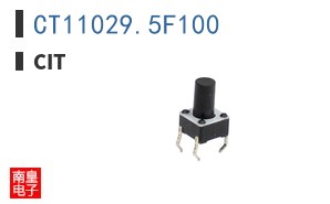 CT11029.5F100