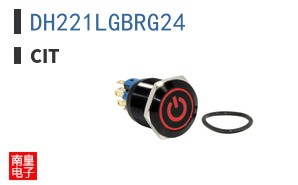 DH221LGBRG24