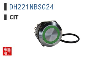 DH221NBSG24