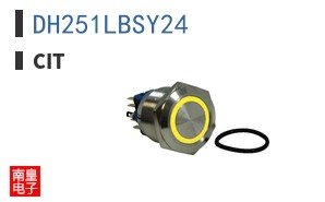DH251LBSY24