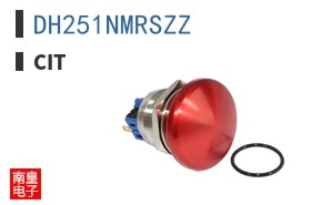 DH251NMRSZZ
