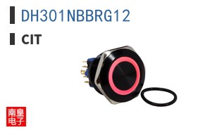 DH301NBBRG12