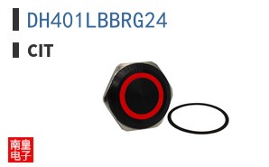 DH401LBBRG24