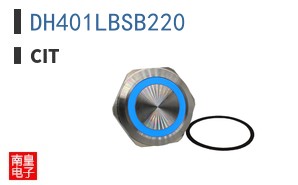 DH401LBSB220
