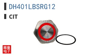 DH401LBSRG12