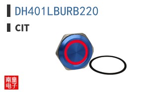 DH401LBURB220