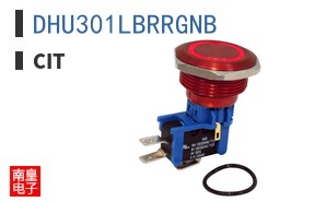 DHU301LBRRGNB