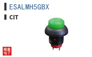 ESALMH5GBX