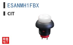ESANMH1FBX