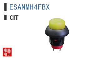 ESANMH4FBX