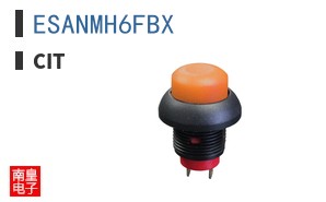 ESANMH6FBX