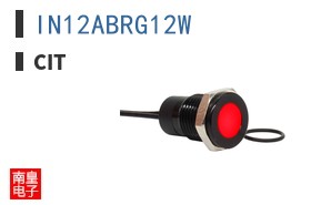 IN12ABRG12W