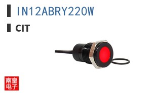 IN12ABRY220W