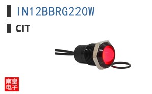 IN12BBRG220W
