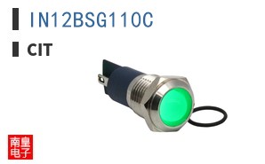 IN12BSG110C