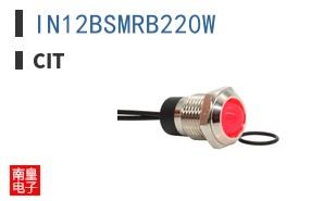 IN12BSMRB220W