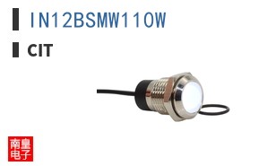 IN12BSMW110W