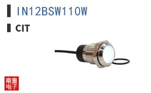 IN12BSW110W