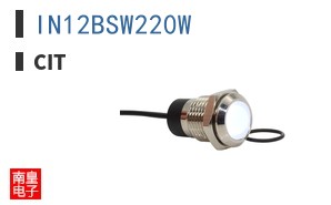 IN12BSW220W