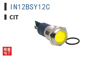 IN12BSY12C