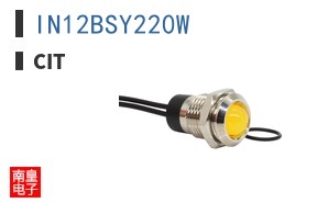 IN12BSY220W
