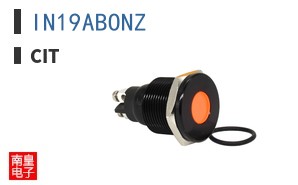 IN19ABONZ