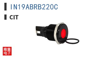 IN19ABRB220C