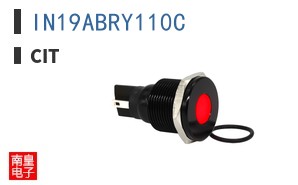 IN19ABRY110C