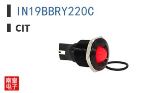 IN19BBRY220C