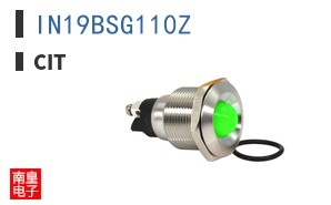 IN19BSG110Z