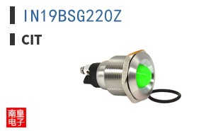 IN19BSG220Z