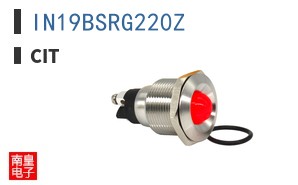 IN19BSRG220Z