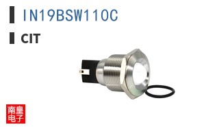 IN19BSW110C
